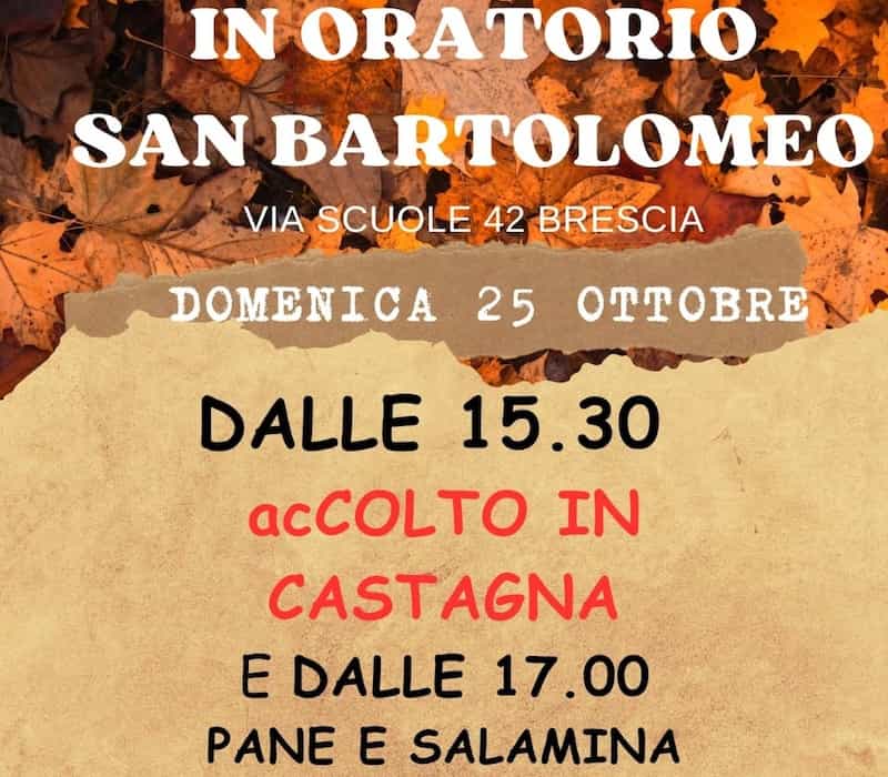 Accolto in castagna